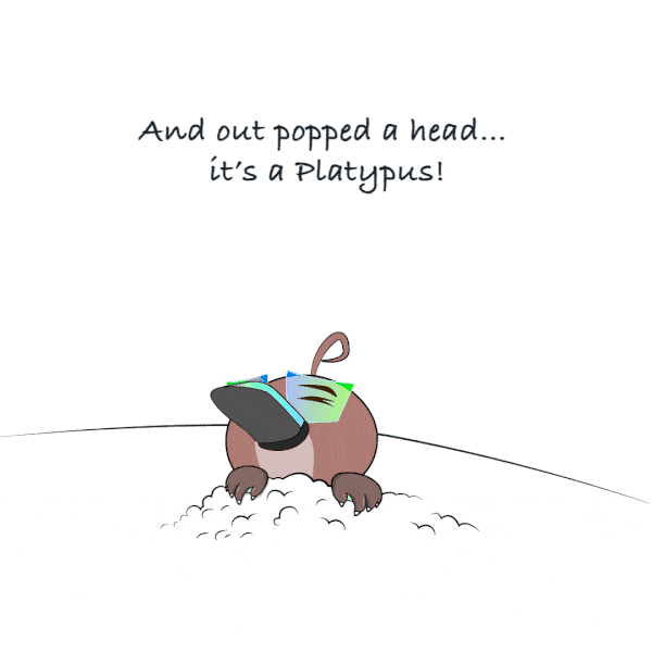 And out popped a head… it’s a Platypus!
